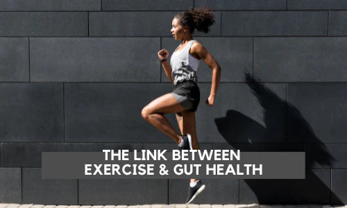 The Link Between exercise and Gut Health The Link Between exercise and Gut Health