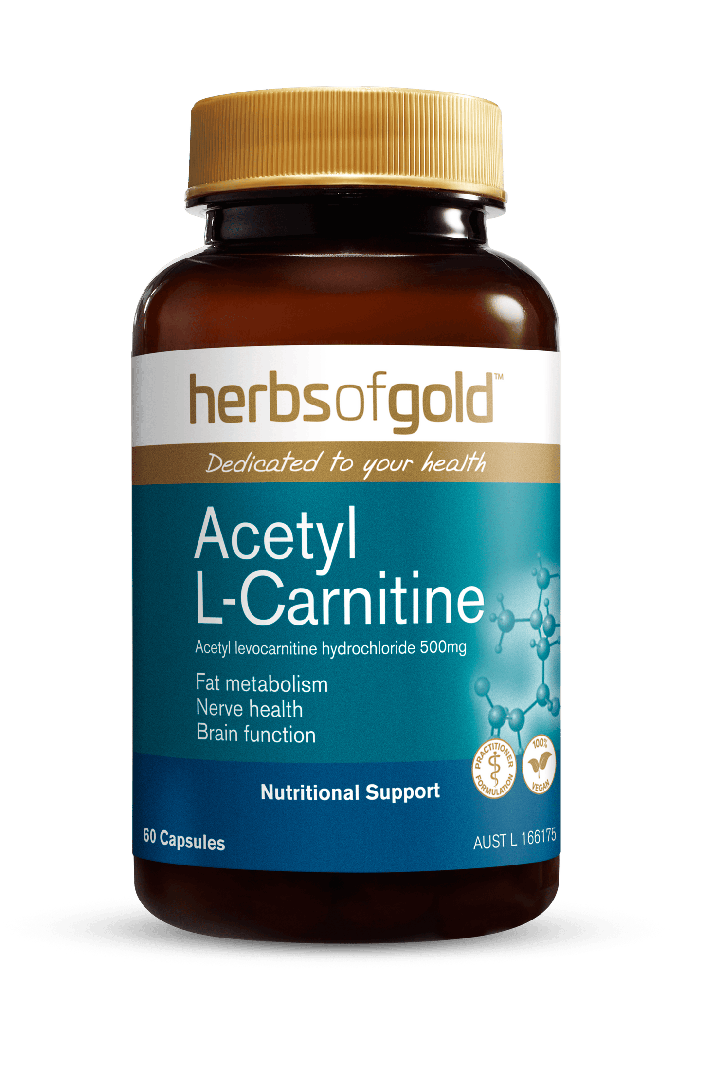 Hofg Acetyl L Carnitine