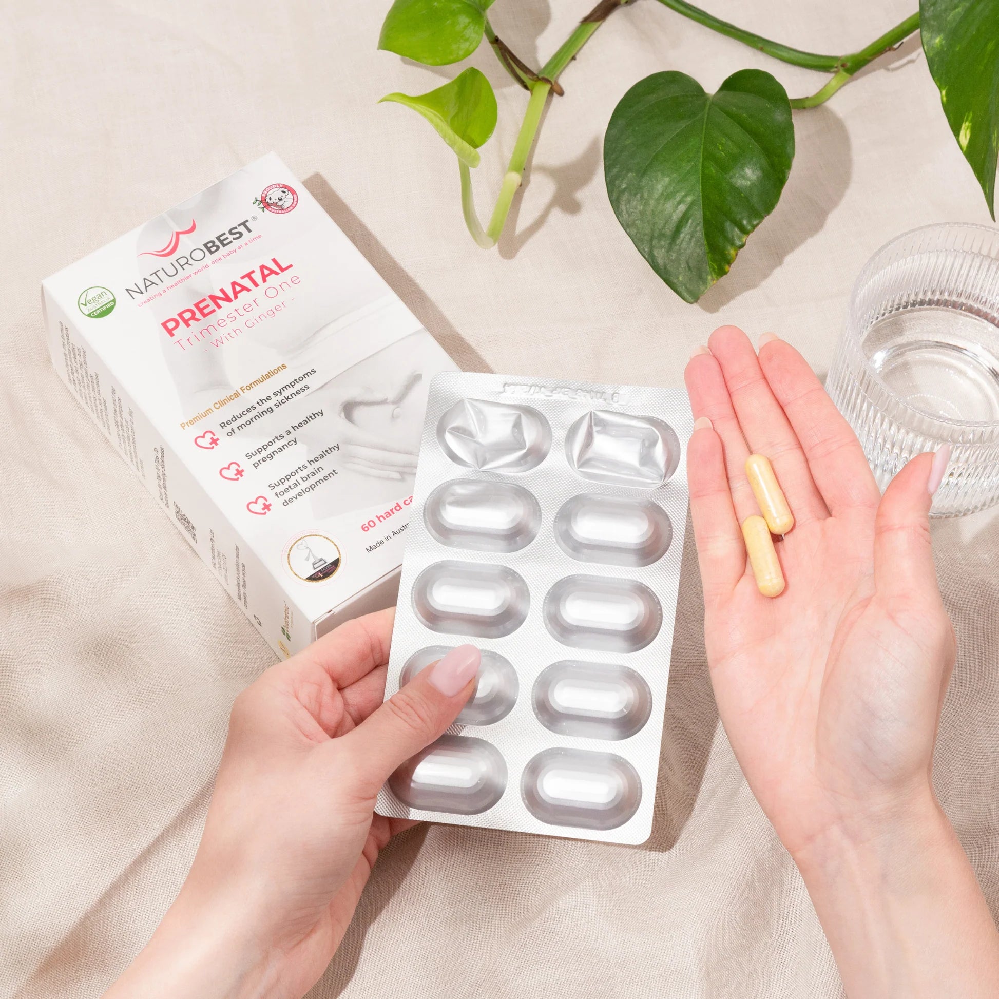 NaturoBest Prenatal Trimester One with Ginger 60c NaturoBest Prenatal Trimester One with Ginger 60c