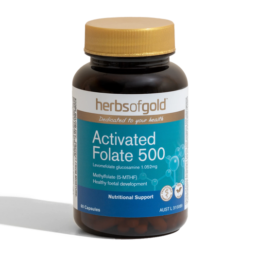 HofG Activated Folate 500 60C HofG Activated Folate 500 60C