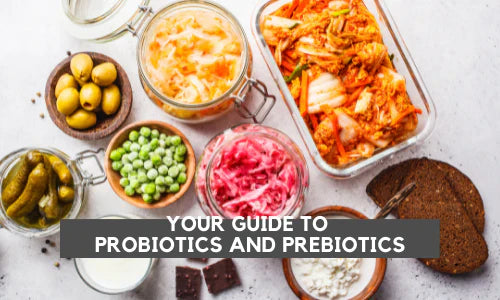 Your Guide to Prebiotics & Probiotics