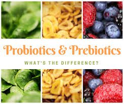 Your guide to probiotics and prebiotics