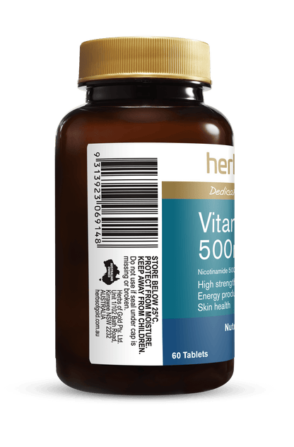 Hofg Vitamin B3 500Mg