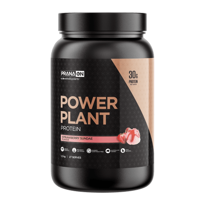 Prana On Power Plant Protein