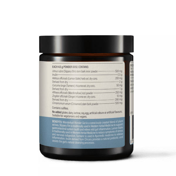 Wanderlust Gut Powder