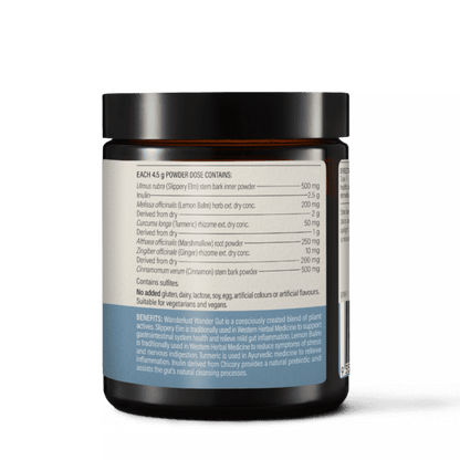 Wanderlust Gut Powder