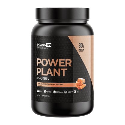Prana On Power Plant Protein