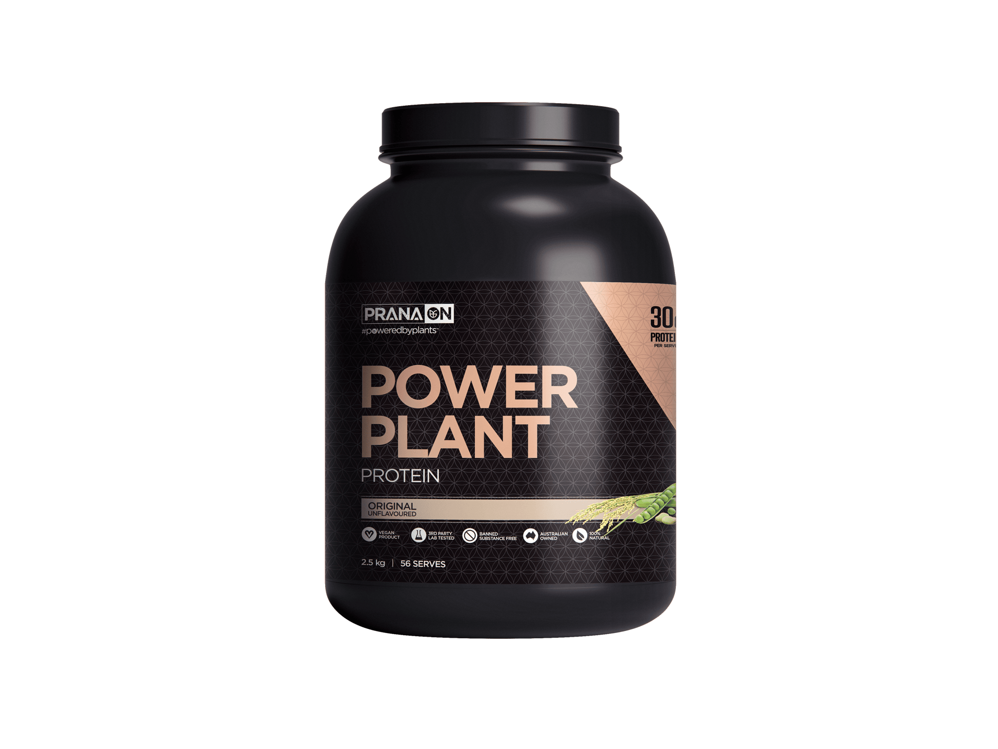 Prana On Power Plant Protein