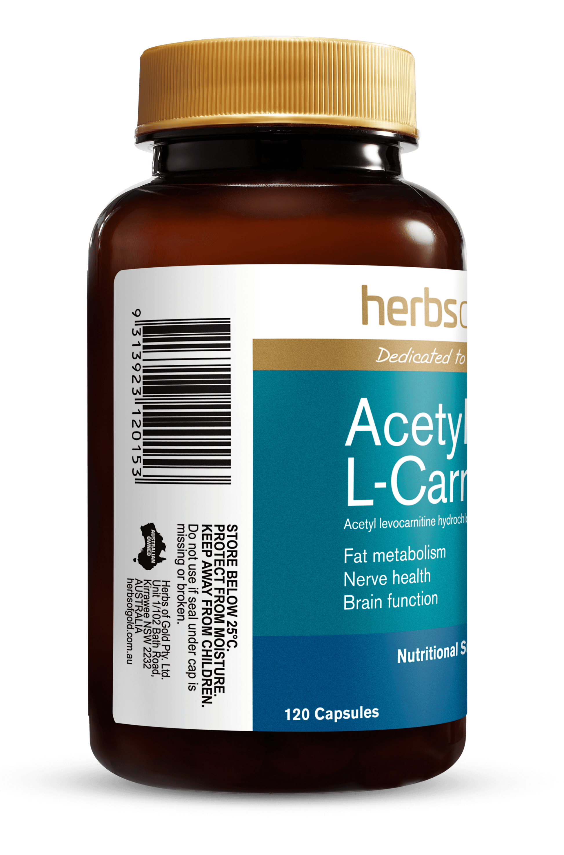Hofg Acetyl L Carnitine