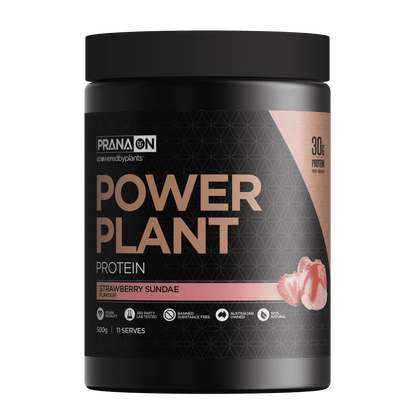 Prana On Power Plant Protein