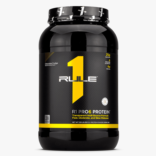Rule1 Pro6 Protein