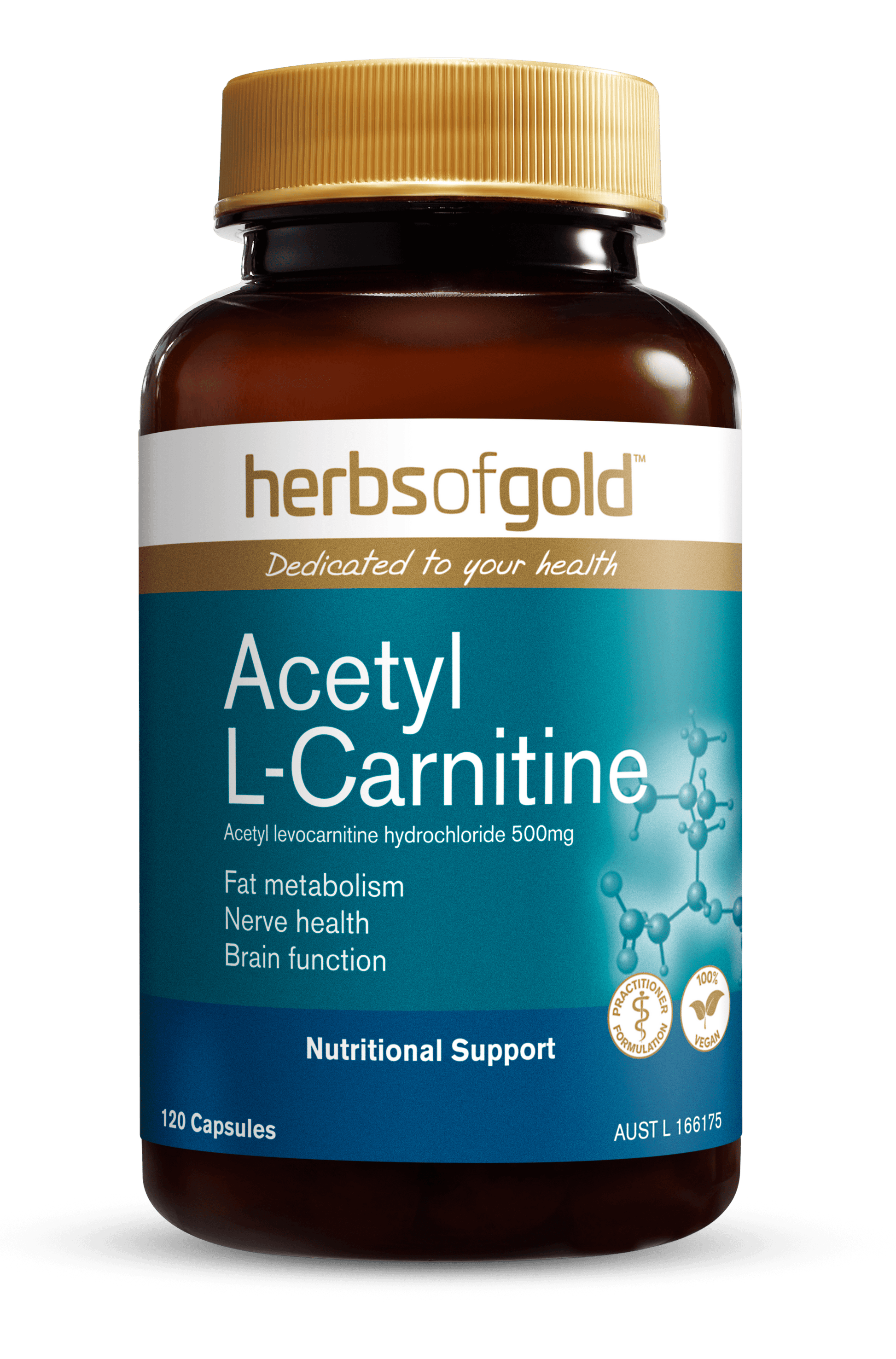 Hofg Acetyl L Carnitine