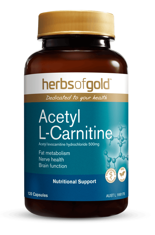 Hofg Acetyl L Carnitine