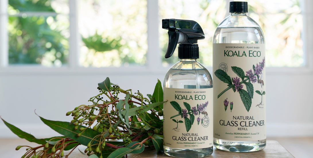 Eco Cleaning