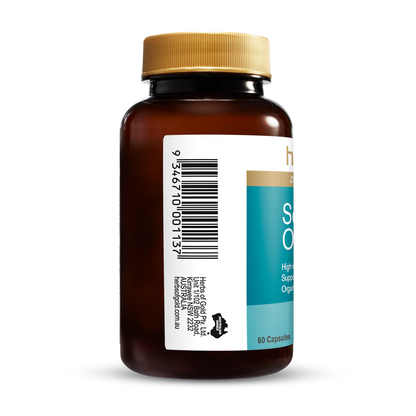 HofG Sea Buckthorn Oil 60C