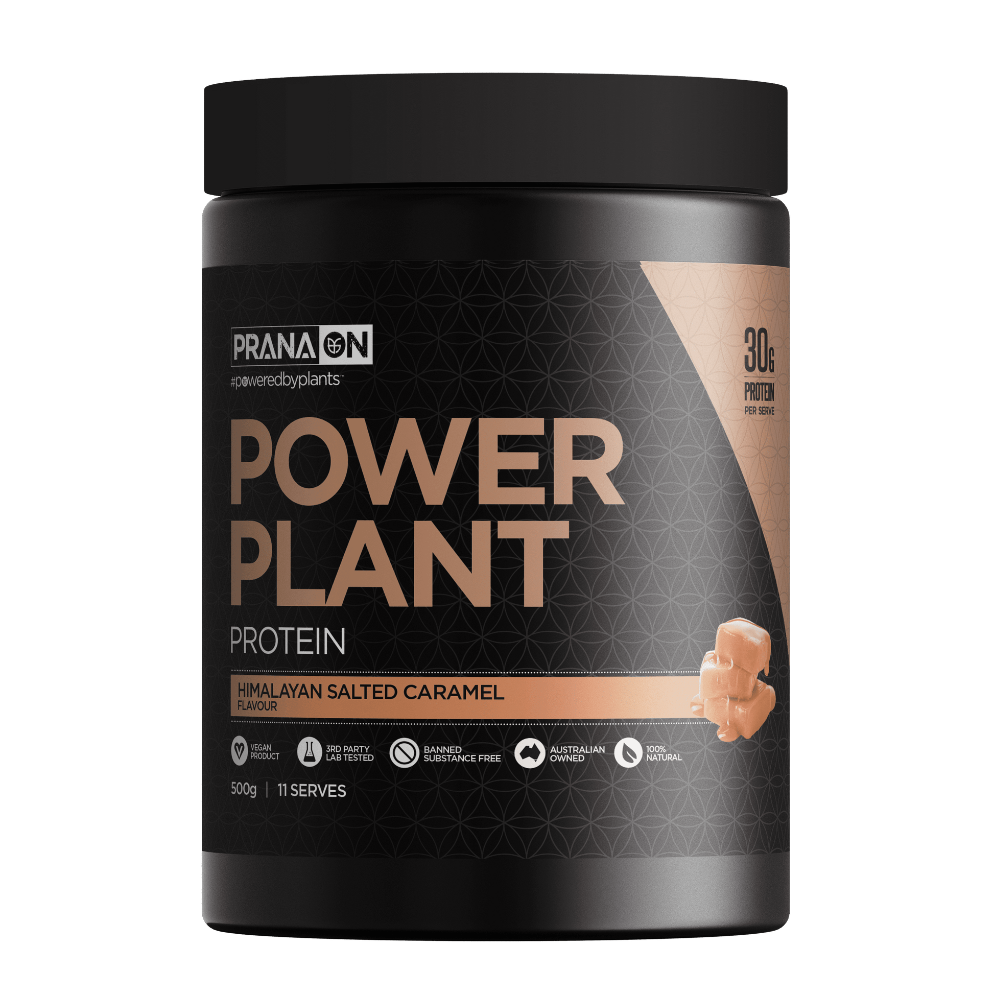 Prana On Power Plant Protein