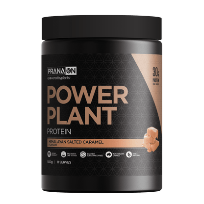 Prana On Power Plant Protein