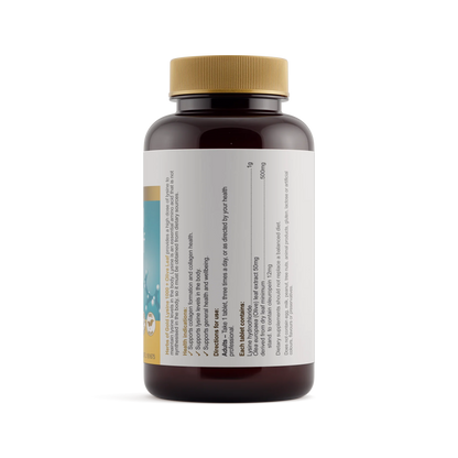 Hofg Lysine 1000 plus Olive Leaf 100T