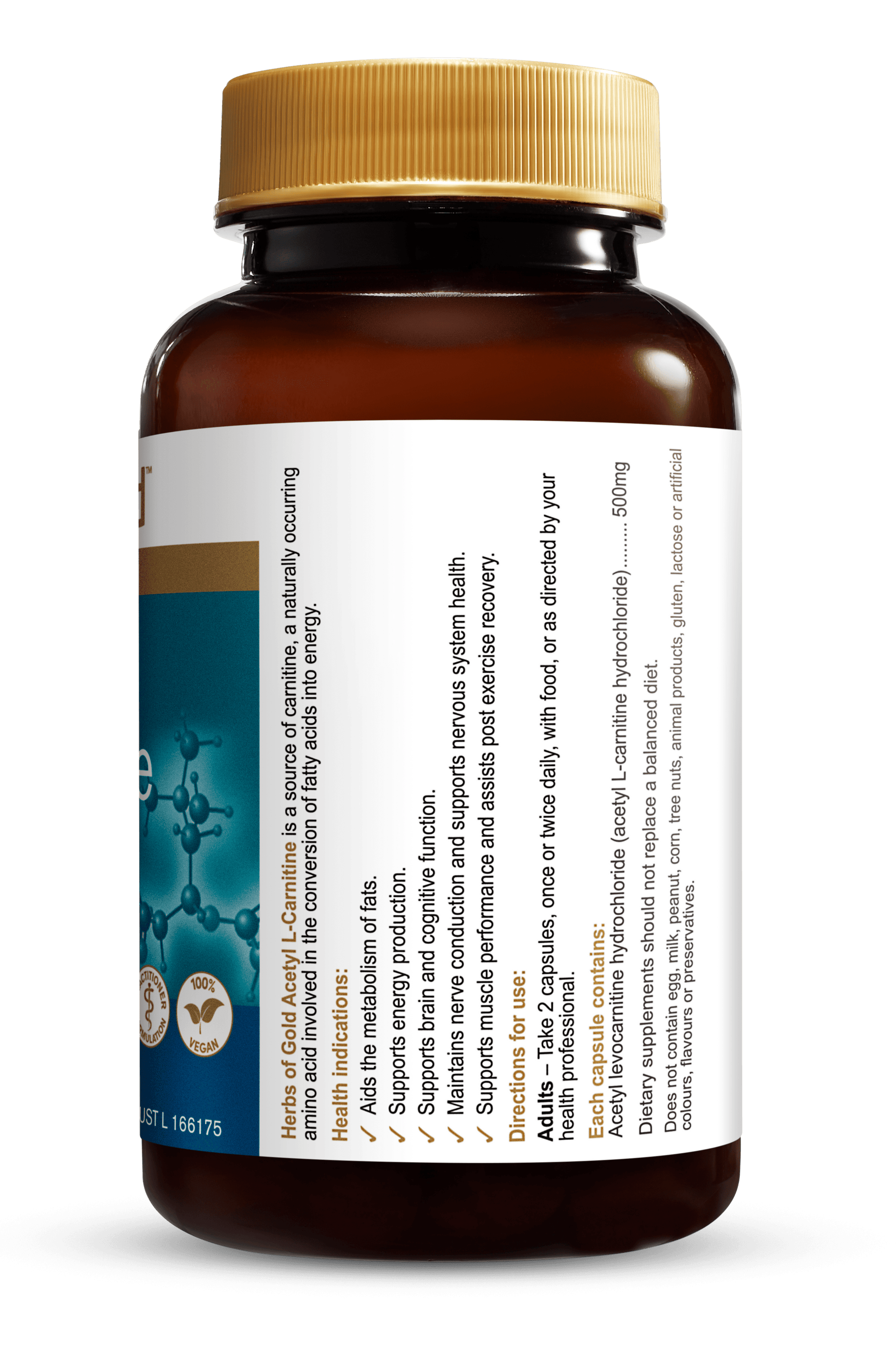 Hofg Acetyl L Carnitine