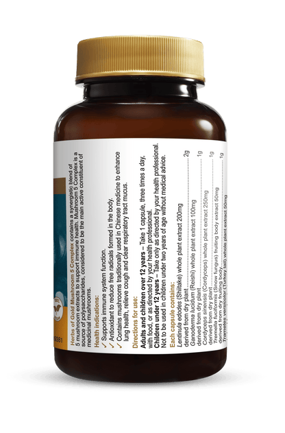 HofG Mushroom 5 Complex